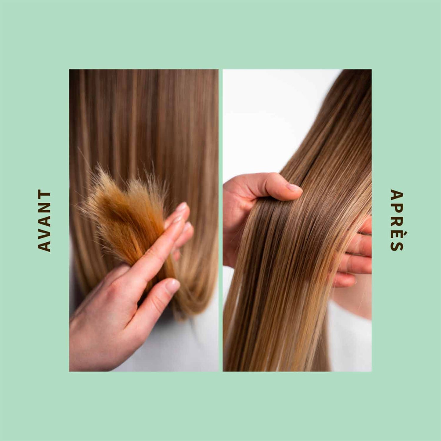 Shampoing Purifiant à la figue de barbarie - Cheveux à tendance grasse