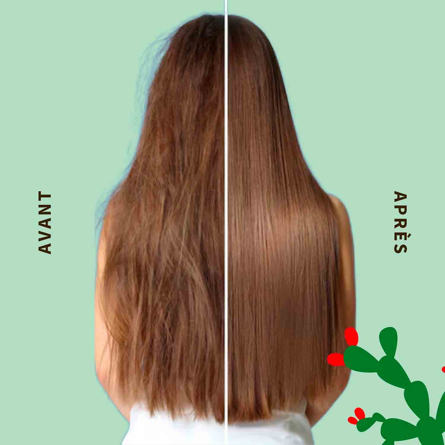 Coffret de Noël Astro Longevity