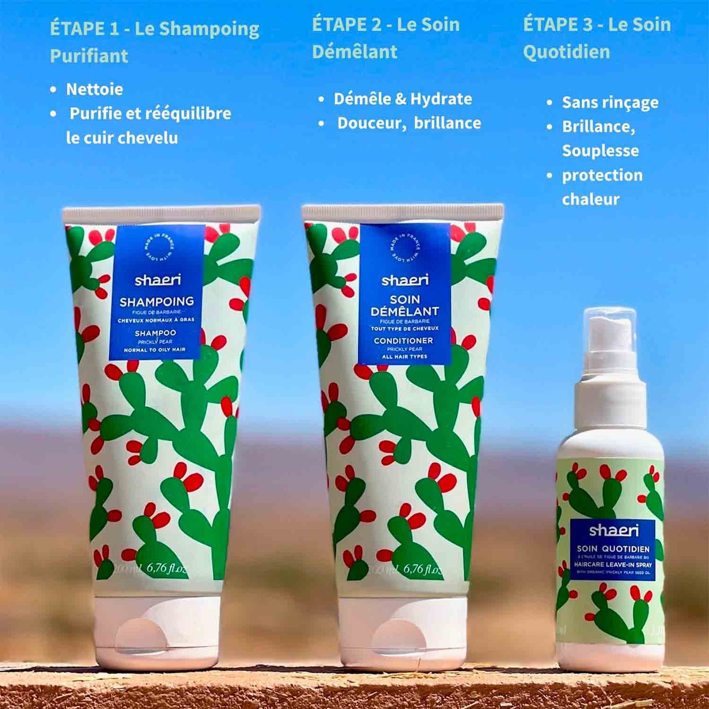 Routine AGELESS
